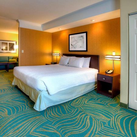 Springhill Suites By Marriott - Tampa Brandon Heartland Exterior photo